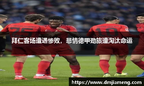 凤凰联盟app