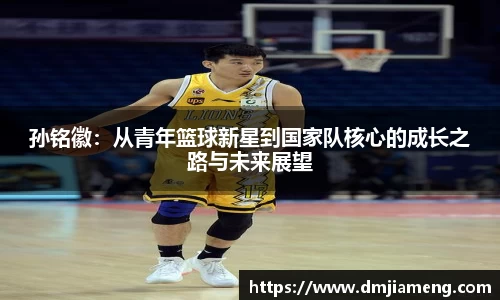 凤凰联盟平台