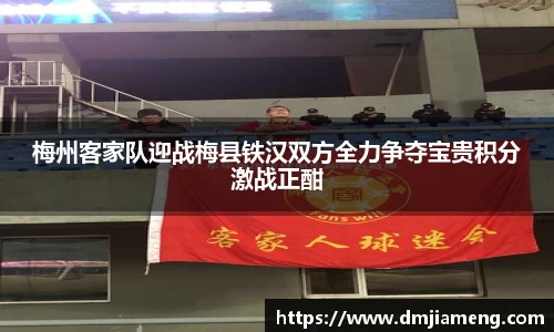 凤凰联盟平台