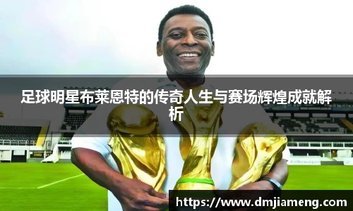 凤凰联盟平台