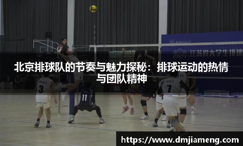 凤凰联盟app