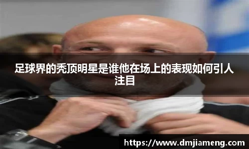 凤凰联盟首页官网